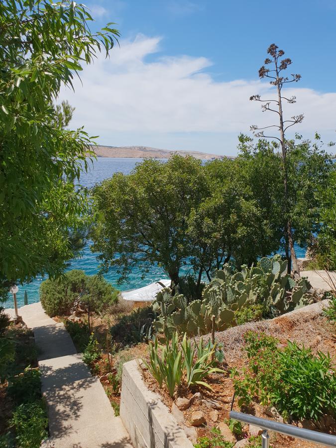 Villa Franko Prizna Εξωτερικό φωτογραφία